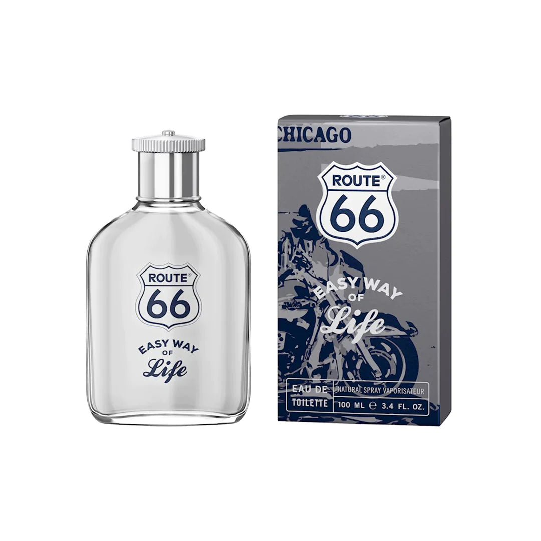 BISOO - ROUTE 66 - EASY WAY OF LIFE GREY 100ML
